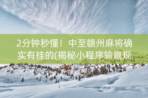 2分钟秒懂！中至赣州麻将确实有挂的(揭秘小程序输赢规律)