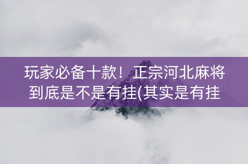 玩家必备十款！正宗河北麻将到底是不是有挂(其实是有挂确实有挂)
