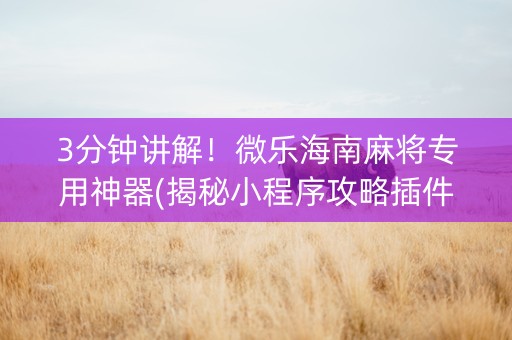3分钟讲解！微乐海南麻将专用神器(揭秘小程序攻略插件)