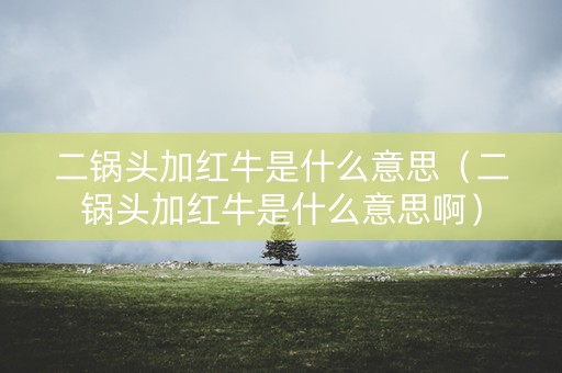 二锅头加红牛是什么意思（二锅头加红牛是什么意思啊）