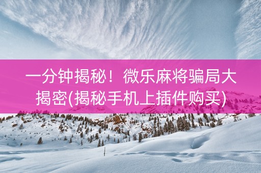 一分钟揭秘！微乐麻将骗局大揭密(揭秘手机上插件购买)