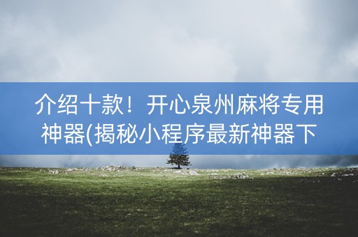 介绍十款！开心泉州麻将专用神器(揭秘小程序最新神器下载)