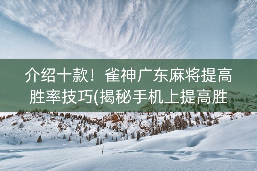 介绍十款！雀神广东麻将提高胜率技巧(揭秘手机上提高胜率)