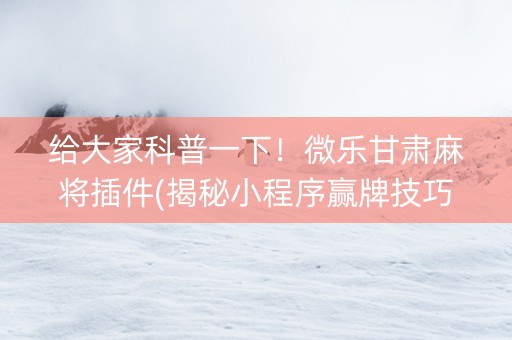 给大家科普一下！微乐甘肃麻将插件(揭秘小程序赢牌技巧)