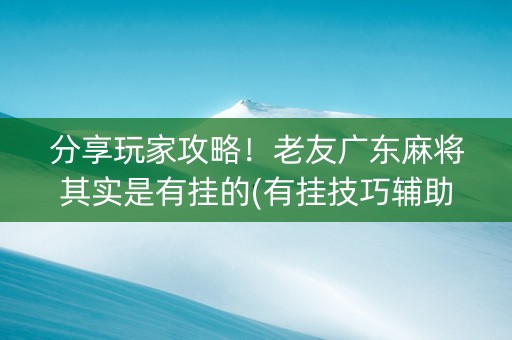 分享玩家攻略！老友广东麻将其实是有挂的(有挂技巧辅助器)