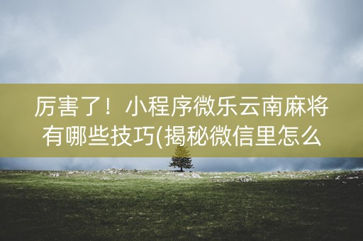 厉害了！小程序微乐云南麻将有哪些技巧(揭秘微信里怎么容易赢)