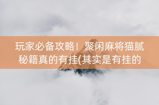 玩家必备攻略！聚闲麻将猫腻秘籍真的有挂(其实是有挂的)