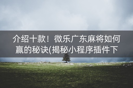 介绍十款！微乐广东麻将如何赢的秘诀(揭秘小程序插件下载)