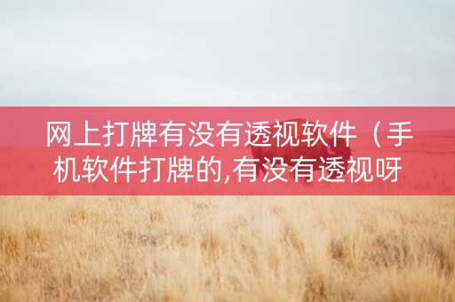 网上打牌有没有透视软件（手机软件打牌的,有没有透视呀）
