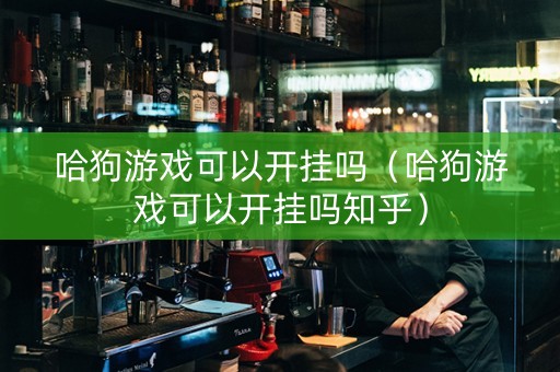 哈狗游戏可以开挂吗（哈狗游戏可以开挂吗知乎）