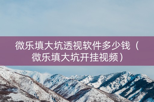 微乐填大坑透视软件多少钱（微乐填大坑开挂视频）
