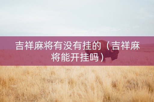吉祥麻将有没有挂的（吉祥麻将能开挂吗）