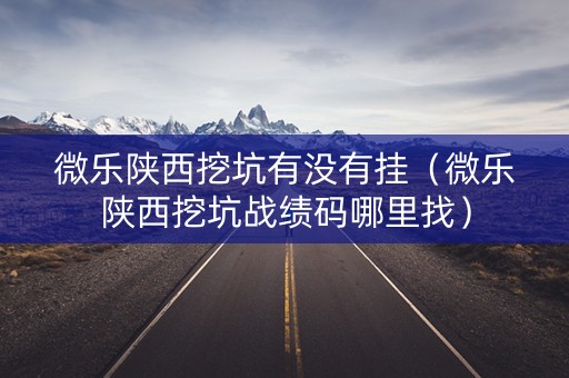 微乐陕西挖坑有没有挂（微乐陕西挖坑战绩码哪里找）