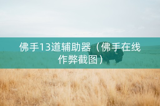 佛手13道辅助器（佛手在线作弊截图）