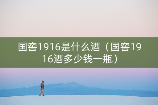 国窖1916是什么酒（国窖1916酒多少钱一瓶）