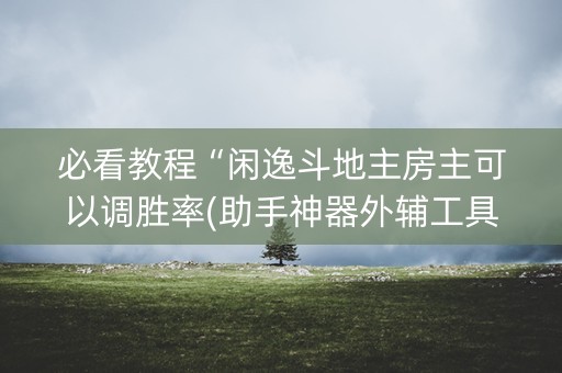 必看教程“闲逸斗地主房主可以调胜率(助手神器外辅工具)