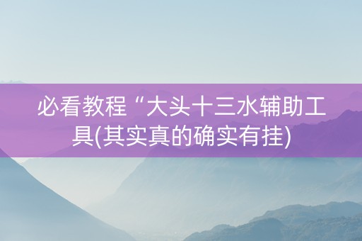 必看教程“大头十三水辅助工具(其实真的确实有挂)