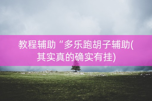 教程辅助“多乐跑胡子辅助(其实真的确实有挂)
