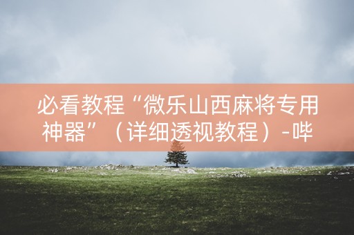 必看教程“微乐山西麻将专用神器”（详细透视教程）-哔哩哔哩