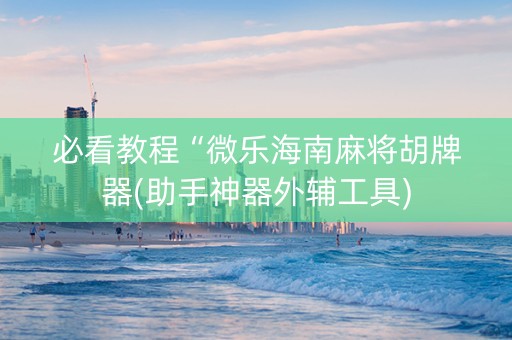 必看教程“微乐海南麻将胡牌器(助手神器外辅工具)