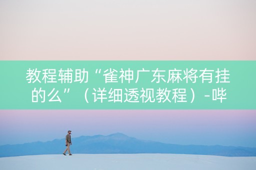 教程辅助“雀神广东麻将有挂的么”（详细透视教程）-哔哩哔哩