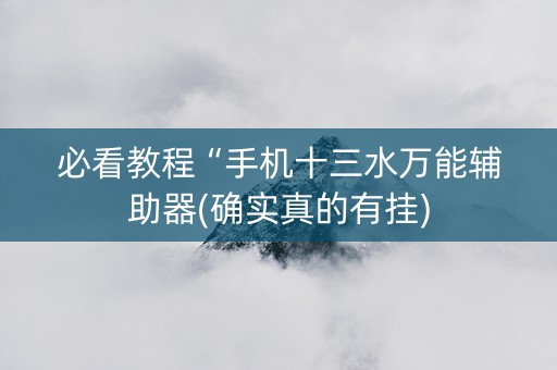 必看教程“手机十三水万能辅助器(确实真的有挂)