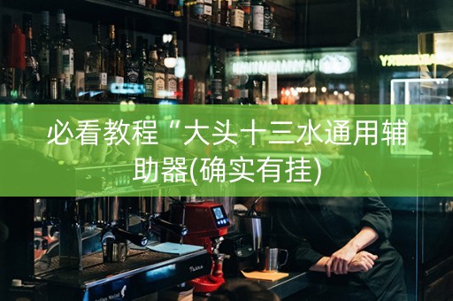 必看教程“大头十三水通用辅助器(确实有挂)