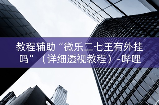 教程辅助“微乐二七王有外挂吗”（详细透视教程）-哔哩哔哩