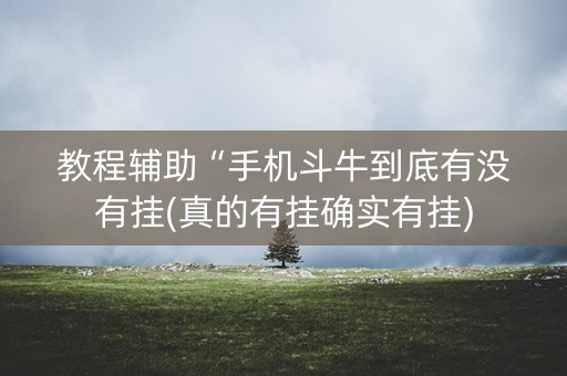 教程辅助“手机斗牛到底有没有挂(真的有挂确实有挂)