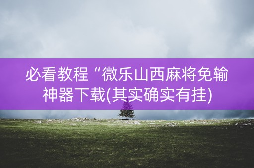 必看教程“微乐山西麻将免输神器下载(其实确实有挂)