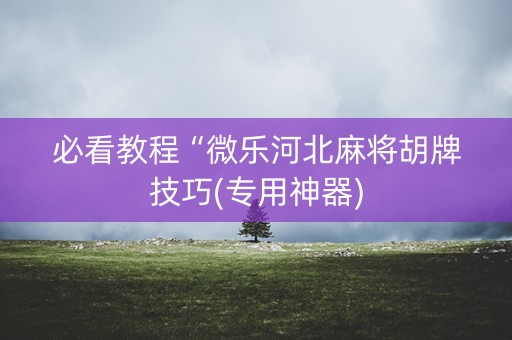 必看教程“微乐河北麻将胡牌技巧(专用神器)