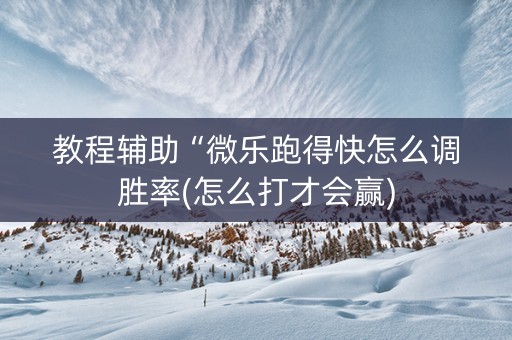教程辅助“微乐跑得快怎么调胜率(怎么打才会赢)