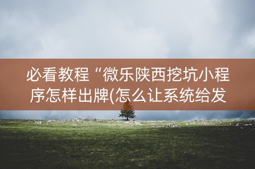 必看教程“微乐陕西挖坑小程序怎样出牌(怎么让系统给发好牌)