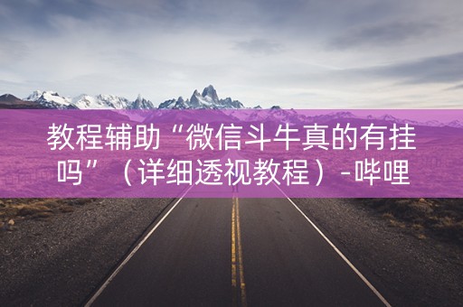 教程辅助“微信斗牛真的有挂吗”（详细透视教程）-哔哩哔哩