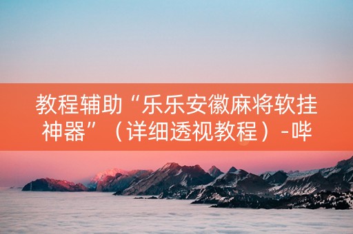 教程辅助“乐乐安徽麻将软挂神器”（详细透视教程）-哔哩哔哩
