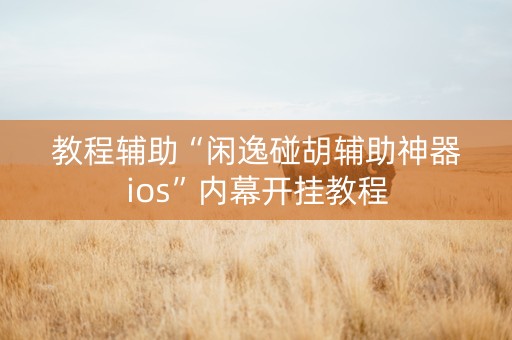 教程辅助“闲逸碰胡辅助神器ios”内幕开挂教程
