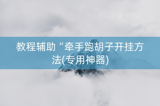 教程辅助“牵手跑胡子开挂方法(专用神器)