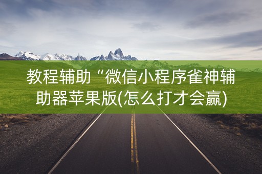 教程辅助“微信小程序雀神辅助器苹果版(怎么打才会赢)