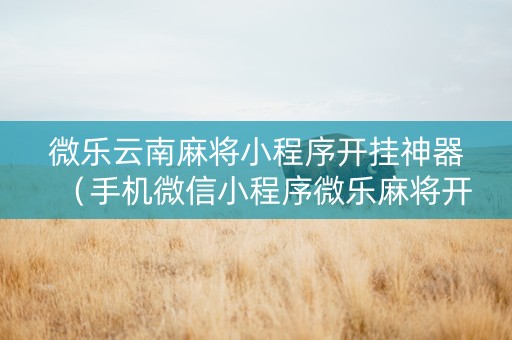 微乐云南麻将小程序开挂神器（手机微信小程序微乐麻将开挂神器下载）