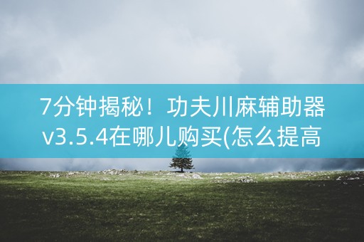 7分钟揭秘！功夫川麻辅助器v3.5.4在哪儿购买(怎么提高胜率)