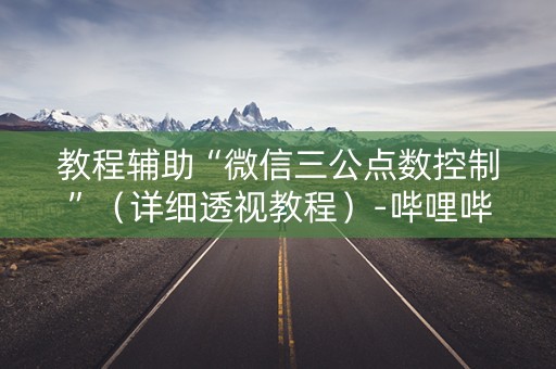 教程辅助“微信三公点数控制”（详细透视教程）-哔哩哔哩