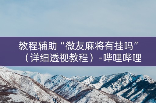 教程辅助“微友麻将有挂吗”（详细透视教程）-哔哩哔哩