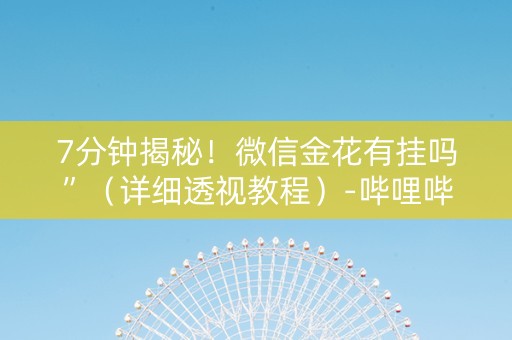 7分钟揭秘！微信金花有挂吗”（详细透视教程）-哔哩哔哩