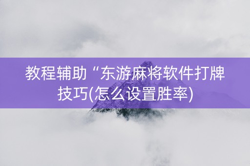 教程辅助“东游麻将软件打牌技巧(怎么设置胜率)