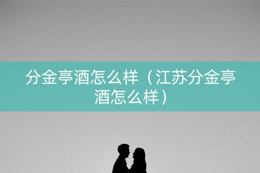 分金亭酒怎么样（江苏分金亭酒怎么样）