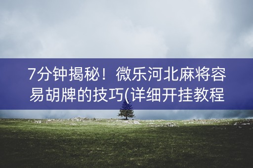 7分钟揭秘！微乐河北麻将容易胡牌的技巧(详细开挂教程)