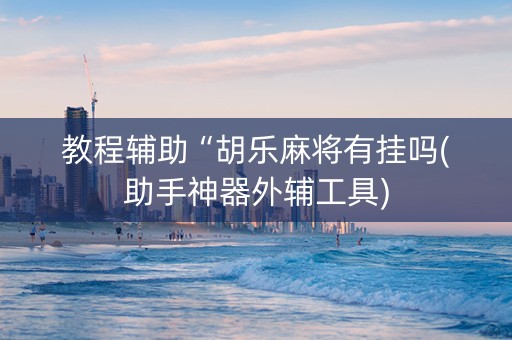 教程辅助“胡乐麻将有挂吗(助手神器外辅工具)