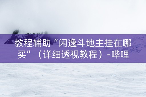 教程辅助“闲逸斗地主挂在哪买”（详细透视教程）-哔哩哔哩