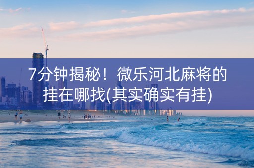 7分钟揭秘！微乐河北麻将的挂在哪找(其实确实有挂)