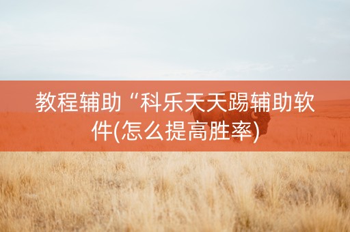 教程辅助“科乐天天踢辅助软件(怎么提高胜率)